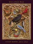 Poster - Birds of Beebe Woods