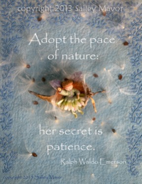 print - Adopt the pace